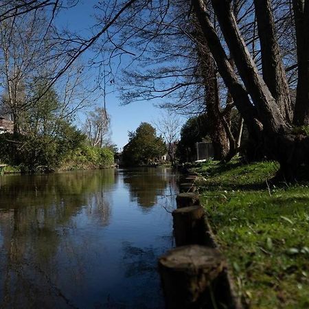 Surrey Hills Escape: Riverside Walks & Quick Links ゴダルマイニング エクステリア 写真